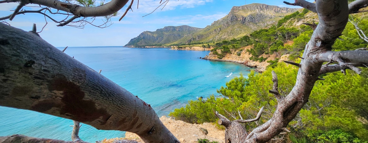 Mallorca – Espanha - Imagem 1