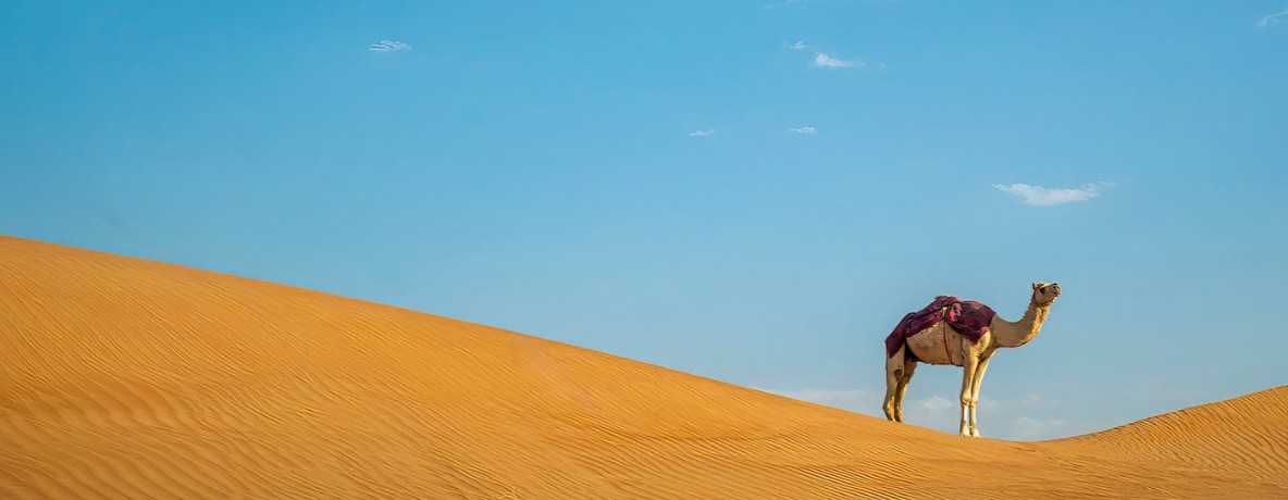 Deserto do Saara – Marrocos - Imagem 1